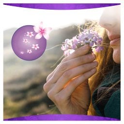 ALWAYS | Panty Liners Daily Protect Long Fresh 24 Pieces