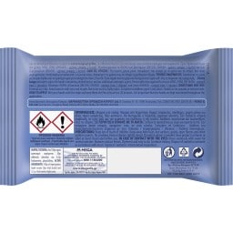 WET HANKIES | Αντιβακτηριδιακά Μαντηλάκια XL 4x15 Τεμάχια