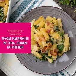 MISKO | Μακαρόνι Σέλινο 500g