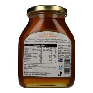 ΑΒ | HONEY ΑΠΟ ΑΝΘΗ ΠΟΡΤΟΚΑΛΙΑΣ 450 GR
