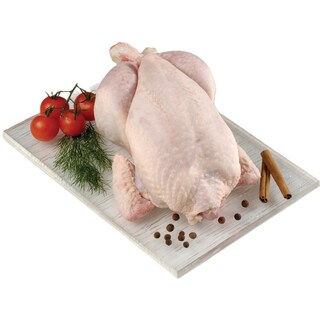 - | ΚΟΤΑ ΟΛΟΚΛΗΡΗ ΕΛΛΗΝΙΚΗ ΝΩΠΗ ΧΥΜΑ