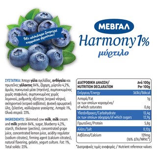 HARMONY | Επιδόρπιο Γιαουρτιού Μύρτιλο 1% 2x170g