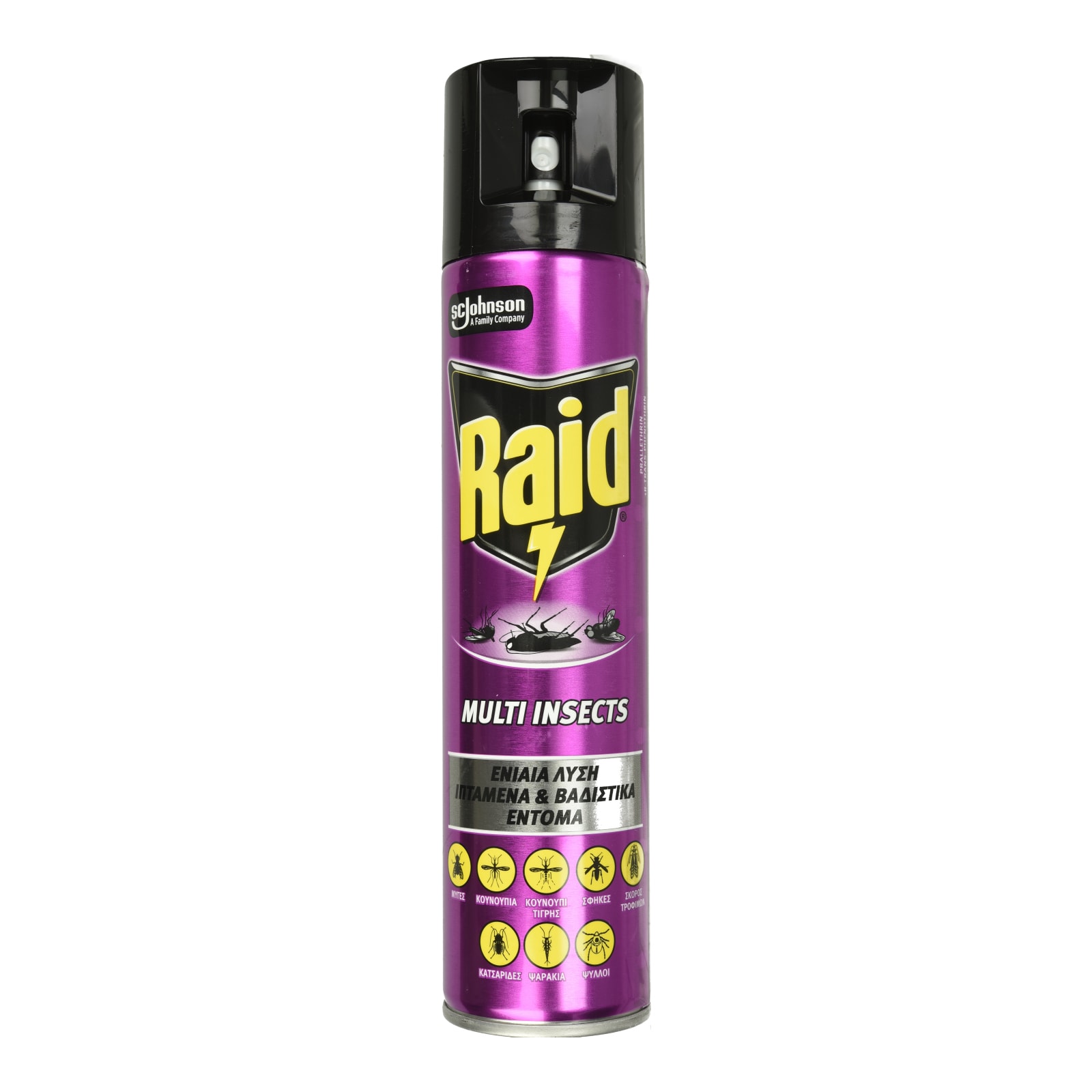 RAID Εντομοκτόνο Spray Multi Insects 300ml