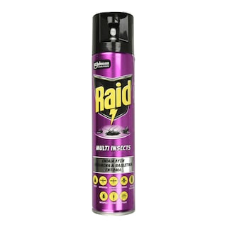RAID | Εντομοκτόνο Spray Multi Insects 300ml