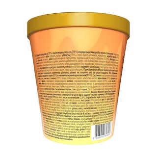 NIRVANA | Παγωτό Pralines & Cream 549g