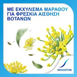 SENSODYNE | Οδοντόκρεμα Herbal Fresh 75ml