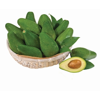 - | ΑΒΟΚΑΝΤΟ ΕΛΛΗΝΙΚΑ