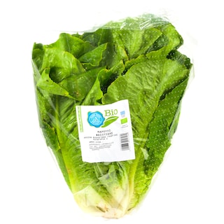 ΑΒ ΒΙΟ | Μαρούλι Βιολογικής Γεωργίας Ελληνικό 1 Τεμάχιο