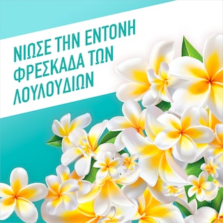 AJAX | Καθαριστικό Πατώματος Γιορτή Λουλουδιών Λουλούδια της Λίμνης 1.5lt