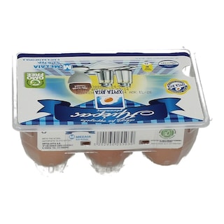 ΧΡΥΣΑ ΑΥΓΑ | Αυγά Εξαιρετικά Φρέσκα Κλωβοστοιχίας Medium 6 Τεμάχια