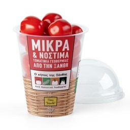 ΚΗΠΟΣ ΞΑΝΘΗΣ | Τοματίνια Βελανίδι Κήπος Ξάνθης 250g