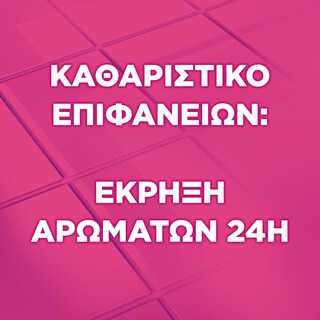 FABULOSO | Καθαριστικό Πατώματος Φρεσκάδα Λουλουδιών 1lt