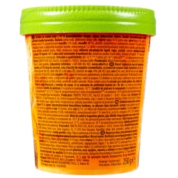 DREAM & CO | Παγωτό Caramel & Salt Vegan 250g