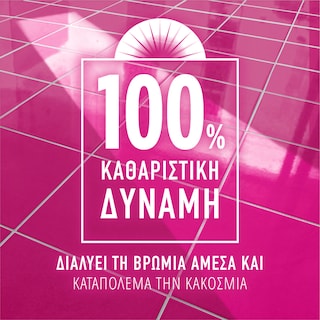 AJAX | Υγρό Καθαρισμού Fete des Fleurs Ρόδο Αυγής 2x1lt 80% στο 2o