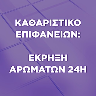 FABULOSO | Καθαριστικό Πατώματος Φρεσκάδα Λεβάντας 1lt