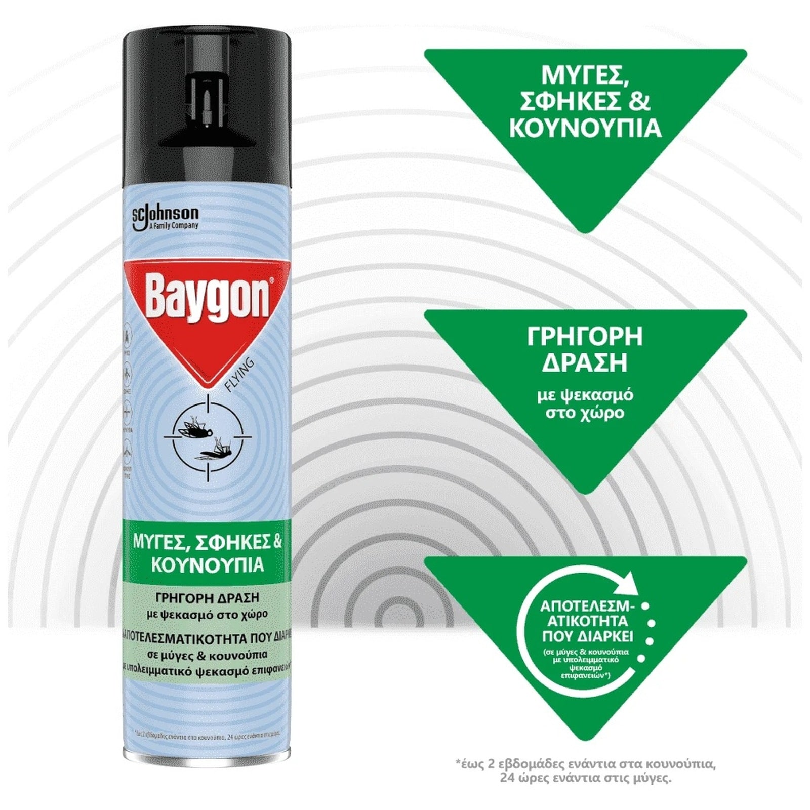 BAYGON Εντομοκτόνο Flying Ιπτάμενα Έντομα 300ml
