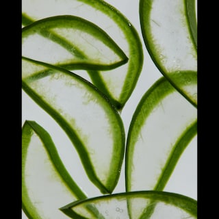 NIVEA | Ενυδατικό Γαλάκτωμα After Sun Aloe Lotion 200ml