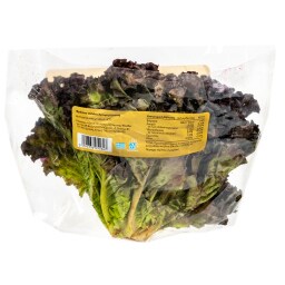 - | Salad Curly Red Lettuce 1 Piece