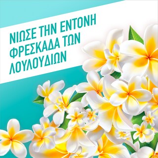AJAX | Υγρό Καθαρισμού Fete Des Fleurs Λουλούδια Λίμνης 1lt 1+1 Δώρο