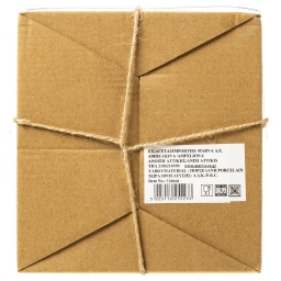 - | Χριστουγεννιάτικη Κούπα Καρυοθραύστης Σετ 1 Τεμάχιο