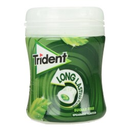 TRIDENT | Τσίχλες Long Lasting Δυόσμος 50.6g