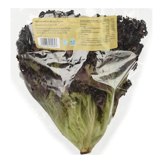ΑΒ | Red Curly Salad Greek 1 Piece