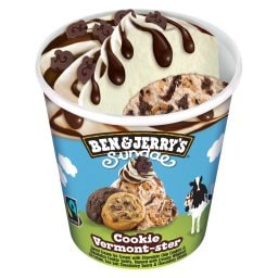 BEN & JERRY'S | Παγωτό Sundae Cookie 324g