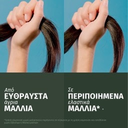 HERBAL ESSENCES | Μάσκα Μαλλιών Argan Oil 300ml