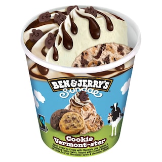 BEN & JERRY'S | Παγωτό Sundae Cookie 324g