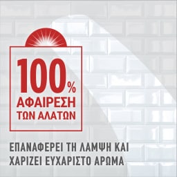 AJAX | Spray Καθαρισμού Κατά των Αλάτων Αντλία 750ml