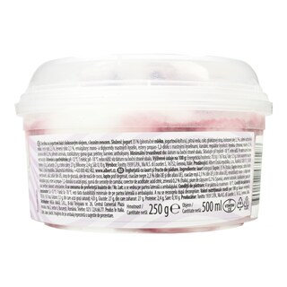 DREAM & CO | Παγωτό Frozen Yogurt Forest Fruits 250g