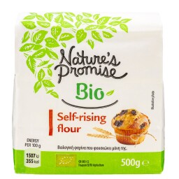 NATURES PROMISE BIO | Φαρίνα Bio 500g