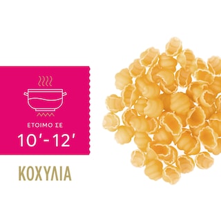 MISKO | Μακαρόνι Κοχύλι 500g