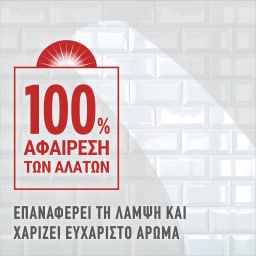 AJAX | Spray Καθαρισμού Κατά των Αλάτων Αντλία 750ml