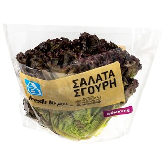 - | Salad Curly Red Lettuce 1 Piece
