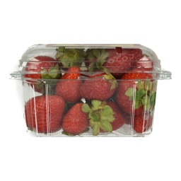 - | STRAWBERRIES  250GR