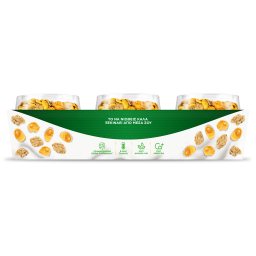 ACTIVIA | Επιδόρπιο Γιαουρτιού Fiber Νιφάδες Δημητριακών 3x163g