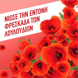 AJAX | Υγρό Καθαρισμού Fete Des Fleurs Αγριολούλουδα 1lt 1+1 Δώρο