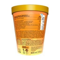 NIRVANA | Παγωτό Pralines & Cream 310g