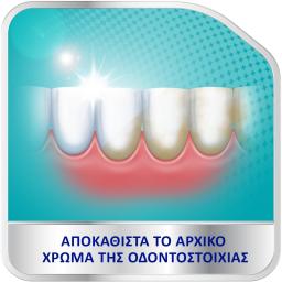 COREGA | Δισκία Καθαρισμός & Λεύκανση 48 Τεμάχια