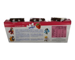 SMART | YOGHURT WITH FRUITS ΦΡΑΟΥΛΑ 2 X 145 GR