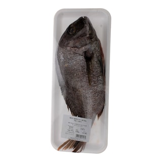 - | COMMON SEA BREAM ΥΔΑΤΟΚ.ΕΛΛ. ΚΑΘΑΡ. ΑΠΕΝ. ΑΠΟΛ. ΝΩΠΟ ΣΥΣΚ. 400GR 600GR