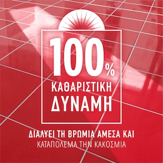 AJAX | Υγρό Καθαρισμού Fete Des Fleurs Αγριολούλουδα 1.5lt
