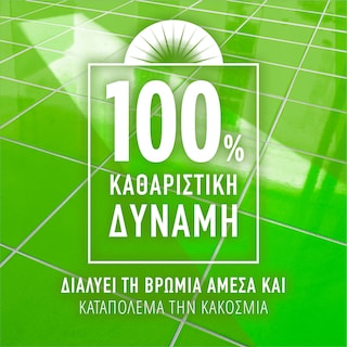 AJAX | Υγρό Καθαρισμού Fete des Fleurs Λουλούδια Άνοιξης 2x1lt 80% στο 2o