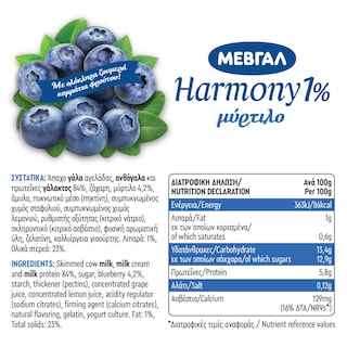 HARMONY | Επιδόρπιο Γιαουρτιού Μύρτιλο 1% 2x170g