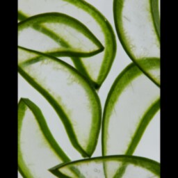 NIVEA | Ενυδατικό Γαλάκτωμα After Sun Aloe Lotion 200ml