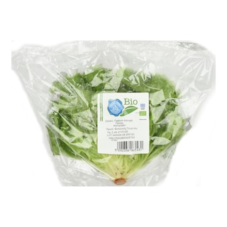 ΑΒ ΒΙΟ | Σαλάτα Πράσινη Σγουρή Βιολογικής Γεωργίας Ελληνική 1 Τεμάχιο
