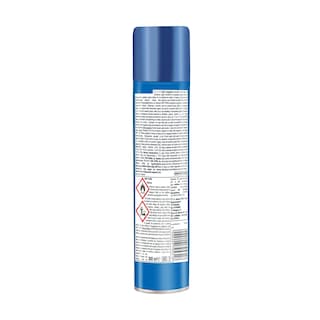 RAID | Εντομοκτόνο Spray Κουνούπια Μύγες 300ml