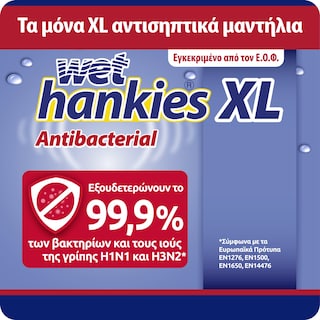 WET HANKIES | Αντιβακτηριδιακά Μαντηλάκια XL 4x15 Τεμάχια