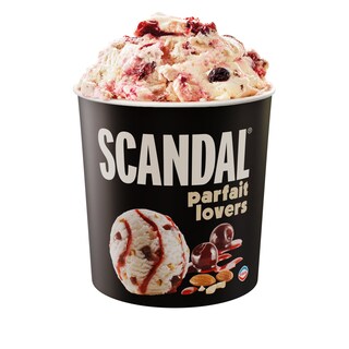 SCANDAL | Παγωτό Παρφέ Βανίλια 478g